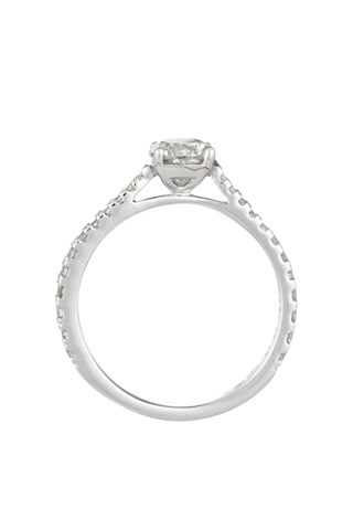 Anel solitário Royal Ouro branco e diamante