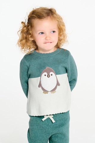 Trui - Pauwblauw - Obaïbi