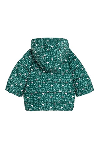 Gewatteerde Jas met Capuchon - Groen - Obaïbi -