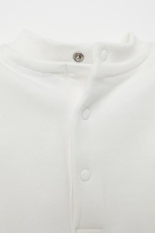 Sweat e calças em algodão biológico - Cru e castanho