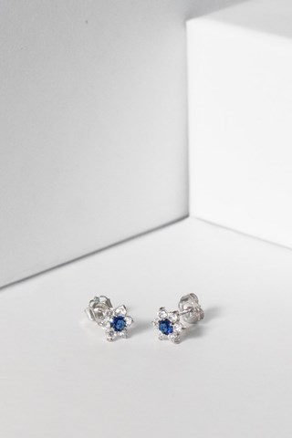 Puces Le Messager Bleu  -  Or blanc