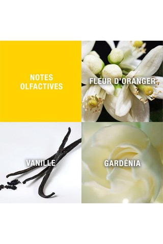 Giorgio Beverly Hills - Brume parfumée 236 ml