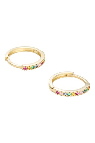 Creolen Colored Geelgoud