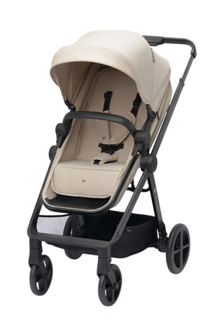 Silla de paseo 4 en 1 Newly - Desde recién nacido - Hasta 22 kg - Gris