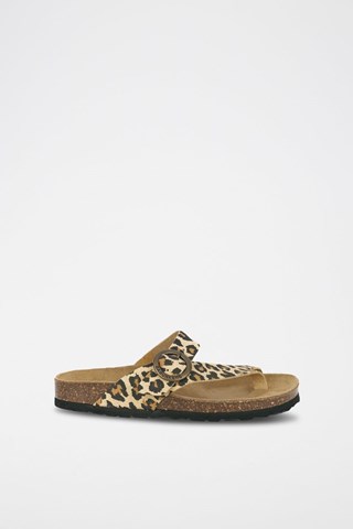 Mules em couro 
Castanho