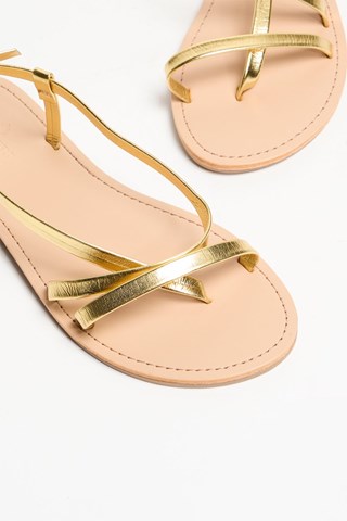 Sandalen - Goudkleurig
